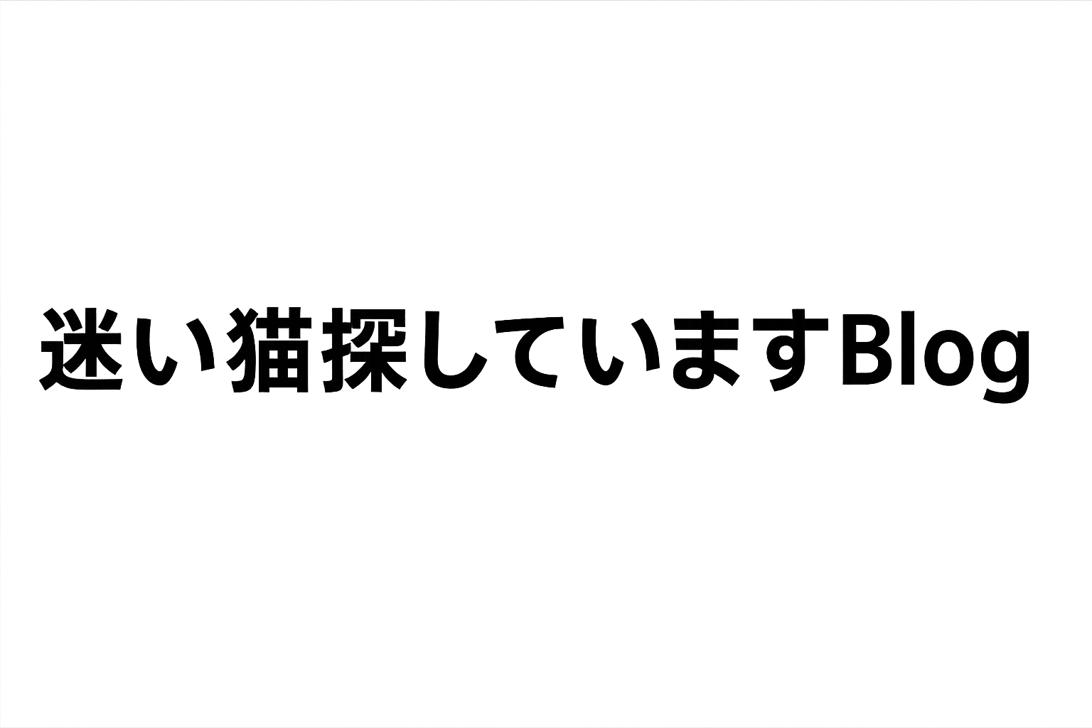 ホンネ猫探偵Blog